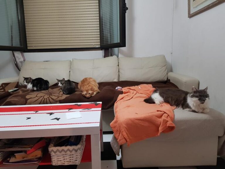 multimedia-foto57707-804-1