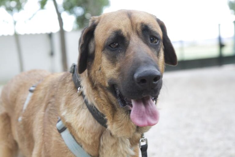 multimedia-foto57726-645-1