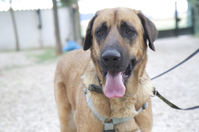 multimedia-foto57727-645-1