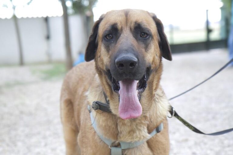 multimedia-foto57728-645-1