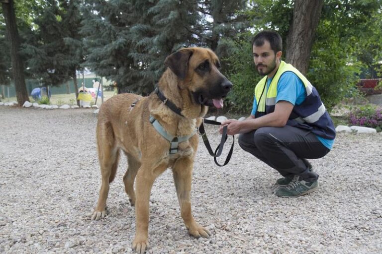 multimedia-foto57729-645-1