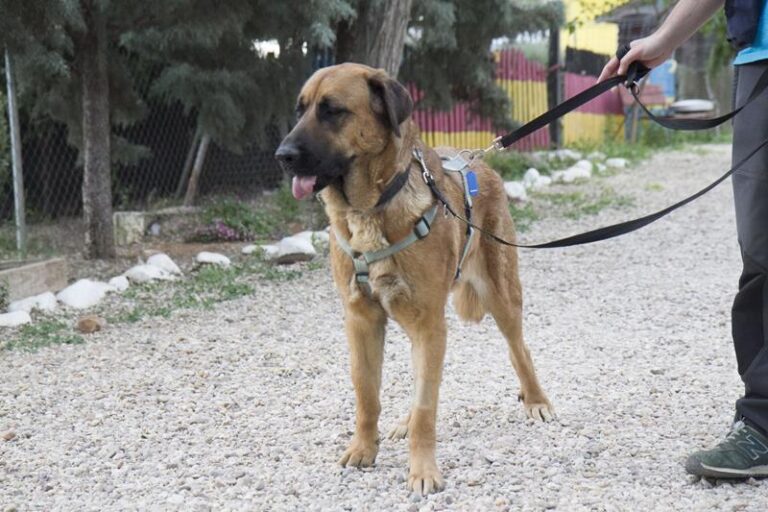 multimedia-foto57730-645-1