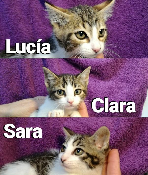 multimedia-foto57748-359-1