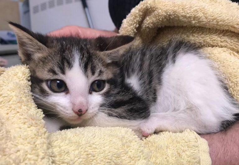 multimedia-foto57750-359-1