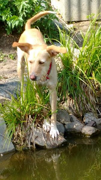 multimedia-foto57760-267-1