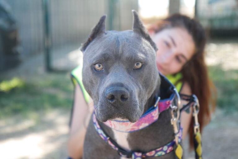 multimedia-foto57762-15-1