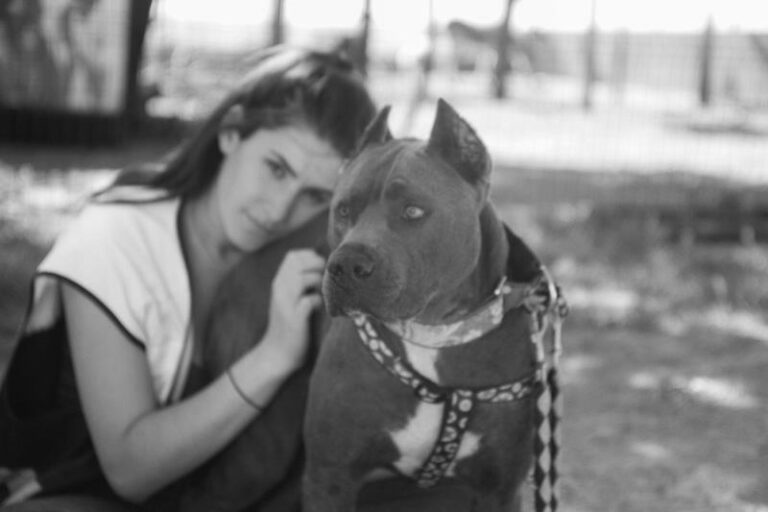 multimedia-foto57763-15-1