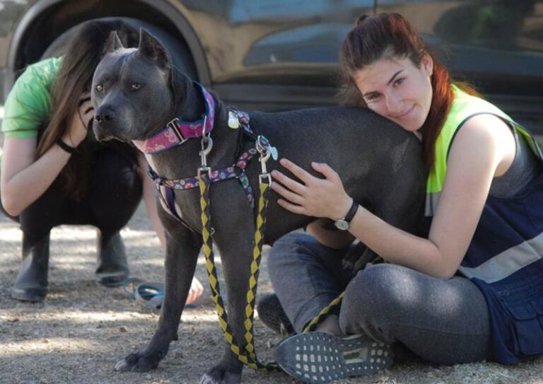 multimedia-foto57764-15-1