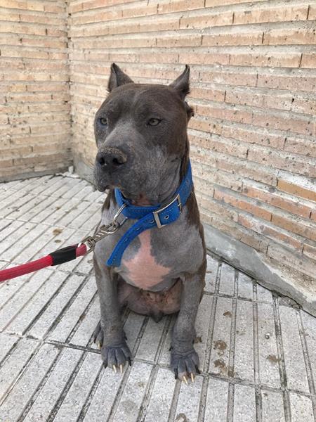 multimedia-foto57765-16-1