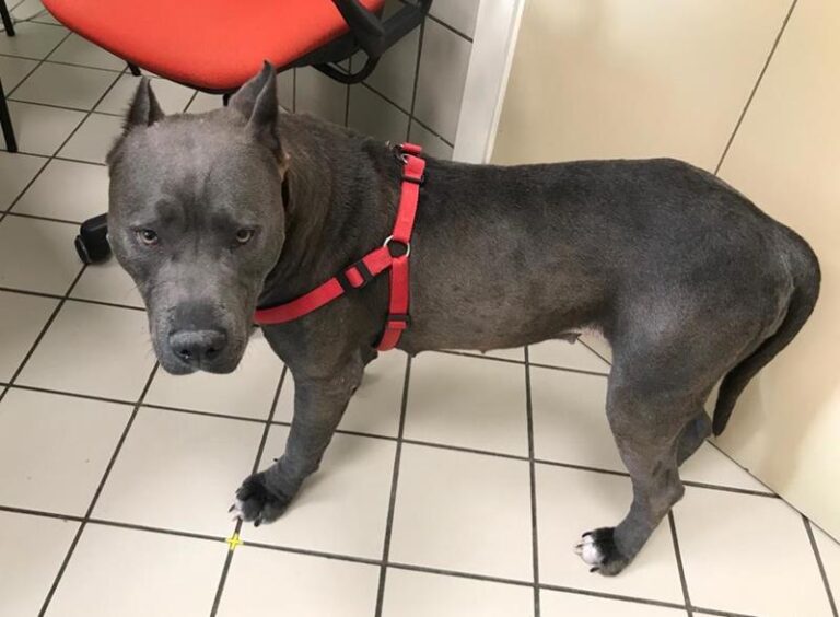 multimedia-foto57766-16-1