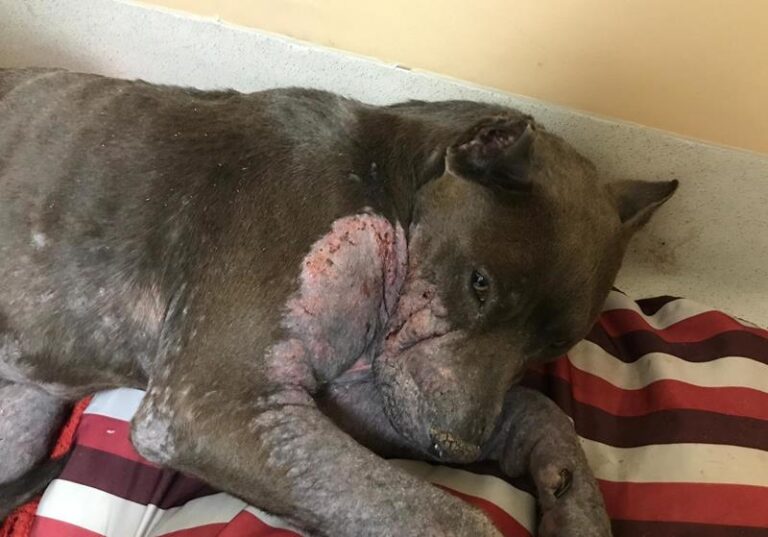 multimedia-foto57767-16-1