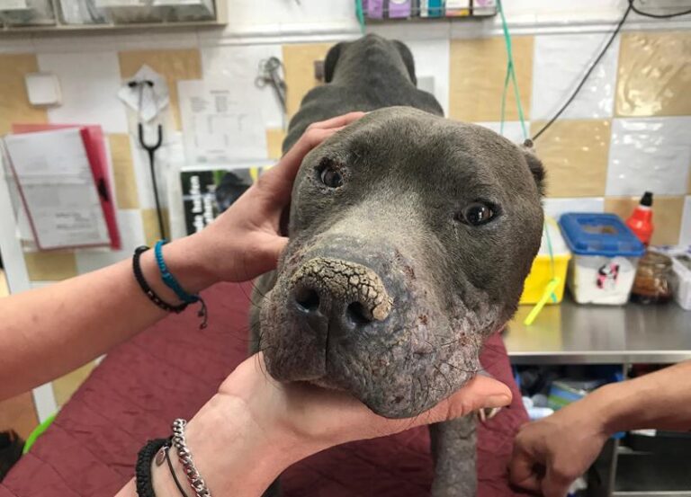 multimedia-foto57768-16-1