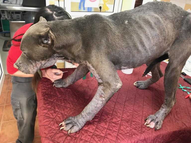 multimedia-foto57769-16-1