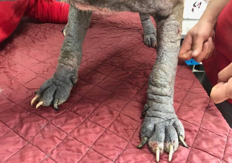 multimedia-foto57771-17-1