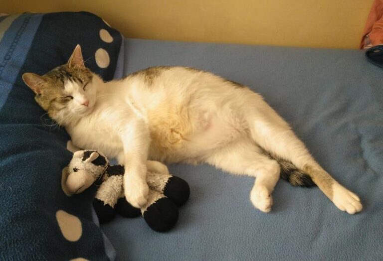 multimedia-foto57773-829-1