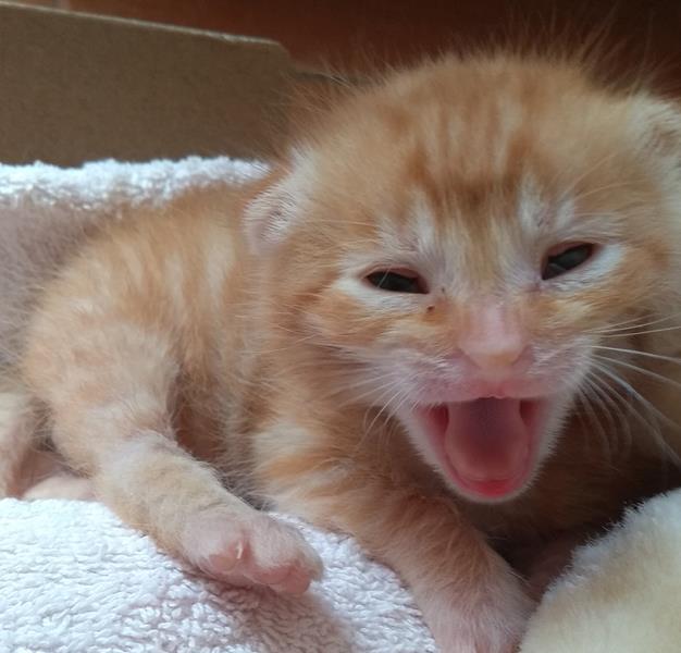 multimedia-foto57780-801-1