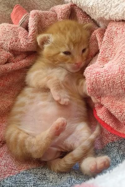 multimedia-foto57782-802-1