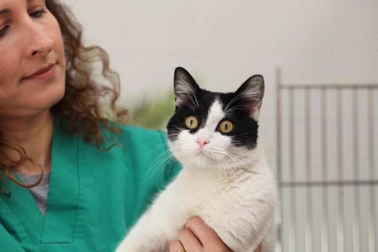 multimedia-foto57820-298-1