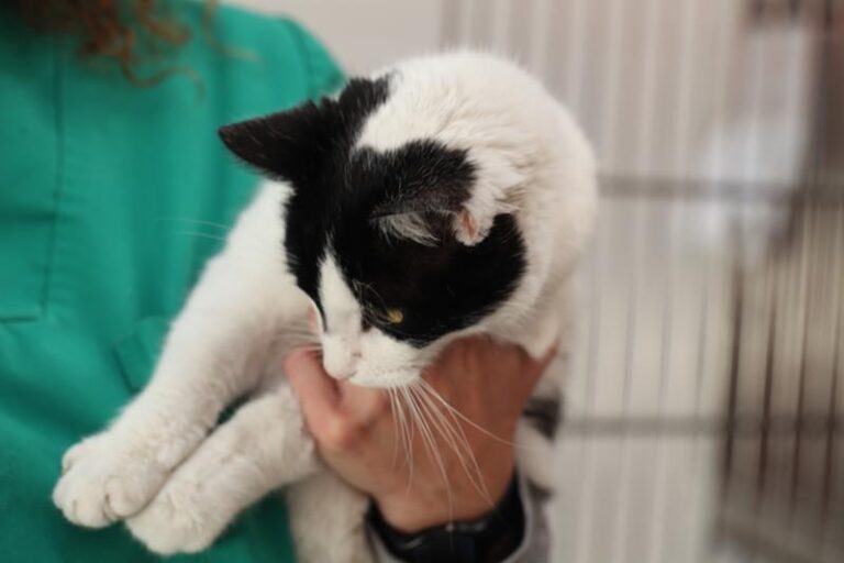 multimedia-foto57821-298-1