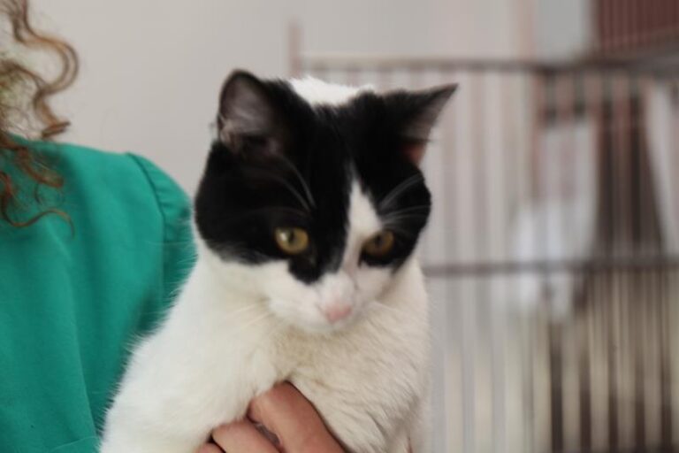 multimedia-foto57822-298-1