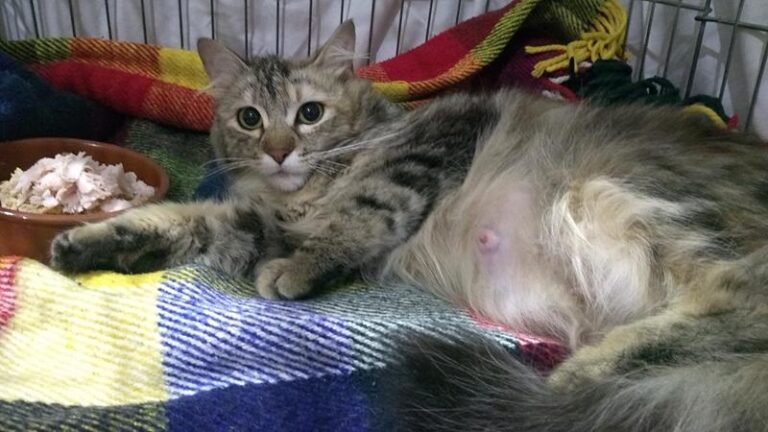 multimedia-foto57827-654-1