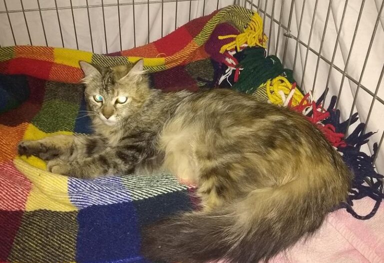 multimedia-foto57828-654-1