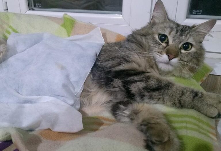 multimedia-foto57832-677-1