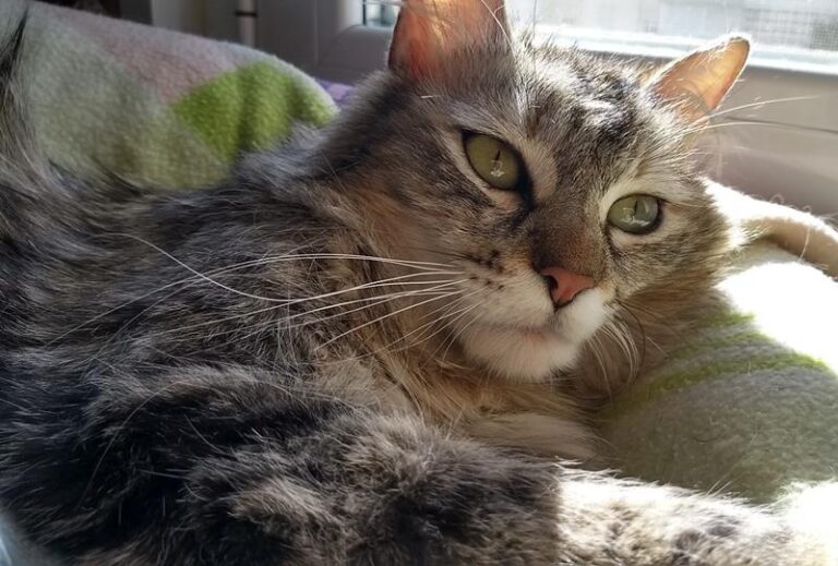 multimedia-foto57835-707-1