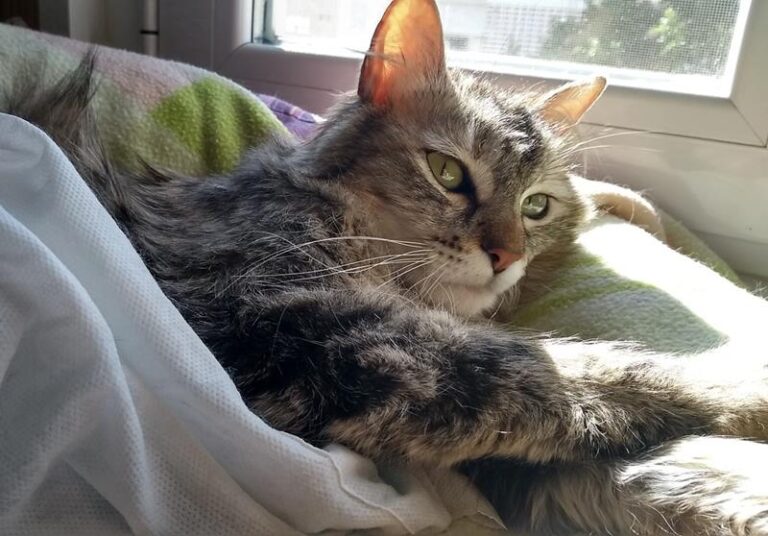 multimedia-foto57836-707-1