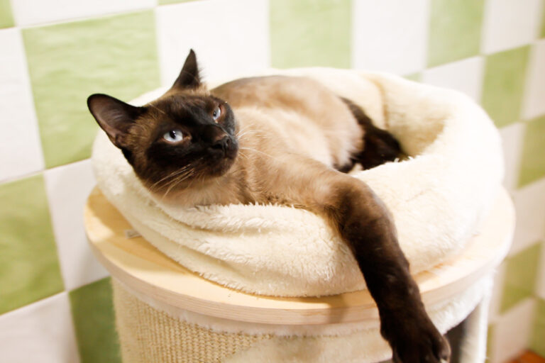 multimedia-foto57844-397-1