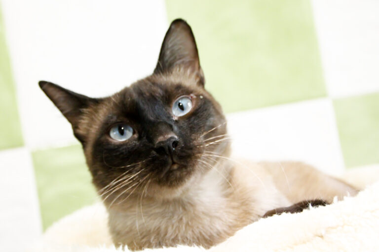 multimedia-foto57845-397-1