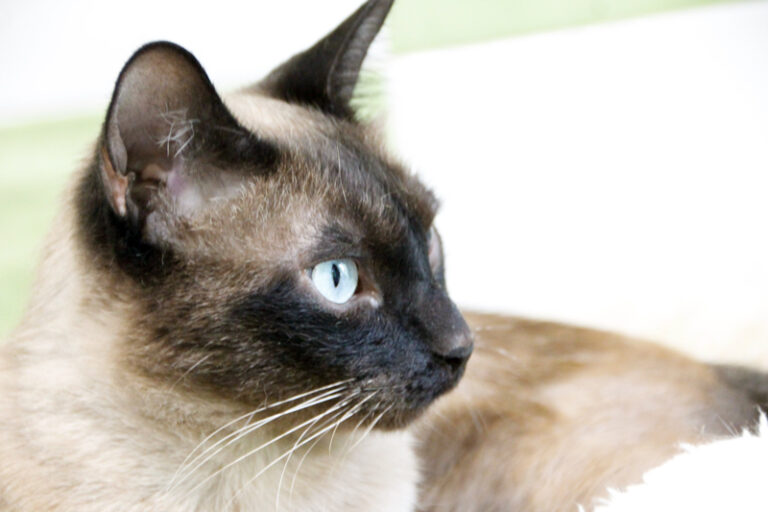 multimedia-foto57846-397-1