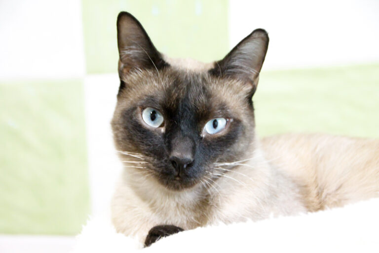 multimedia-foto57847-397-1