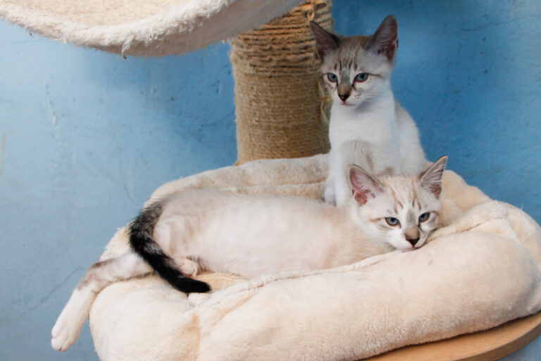 multimedia-foto57882-373-1