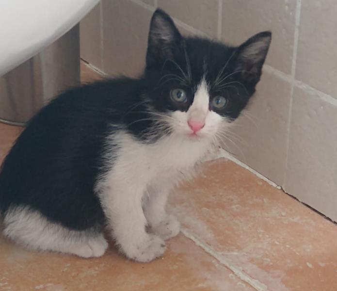 multimedia-foto57900-160-1