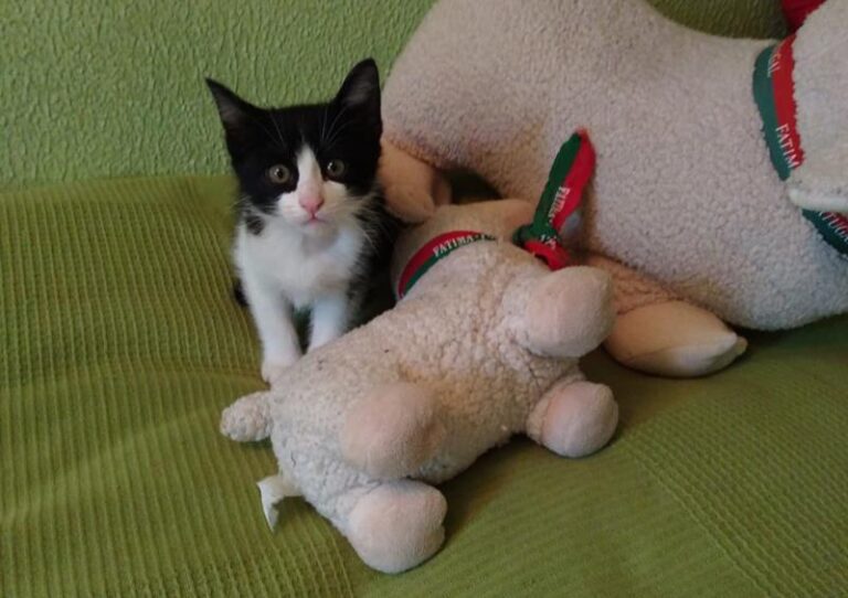 multimedia-foto57901-160-1