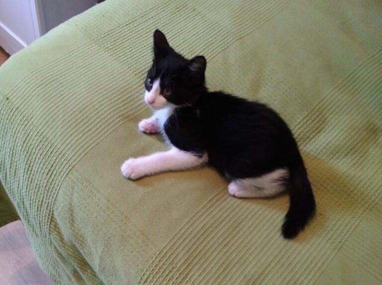 multimedia-foto57903-160-1