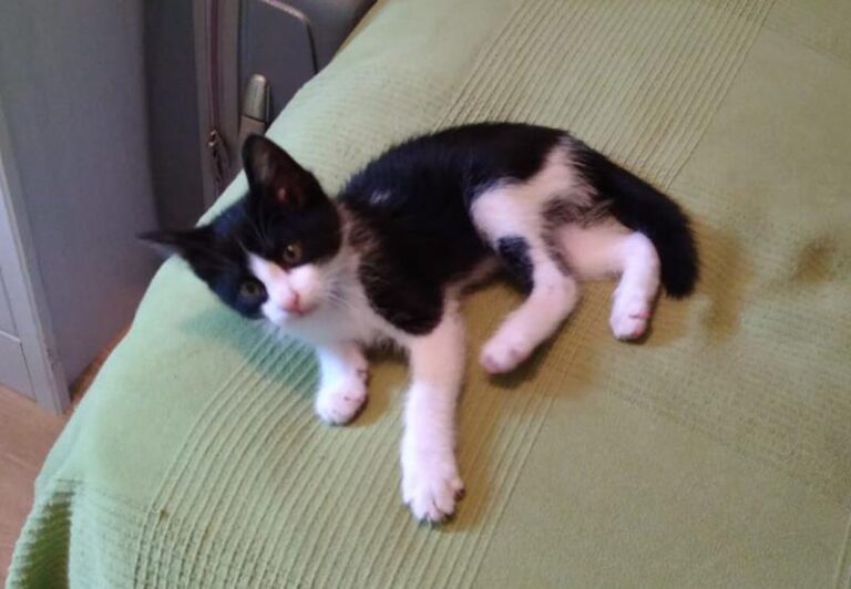 multimedia-foto57904-160-1