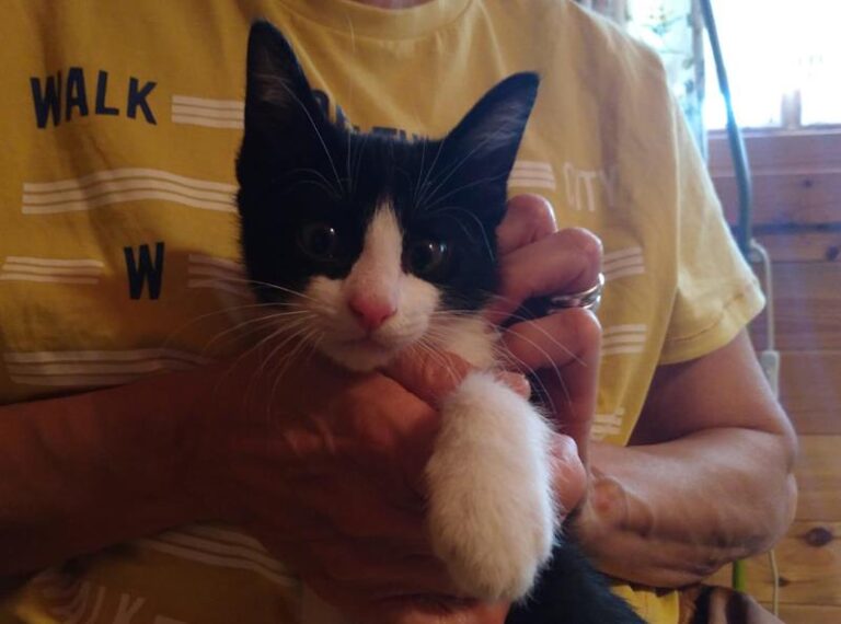 multimedia-foto57906-160-1