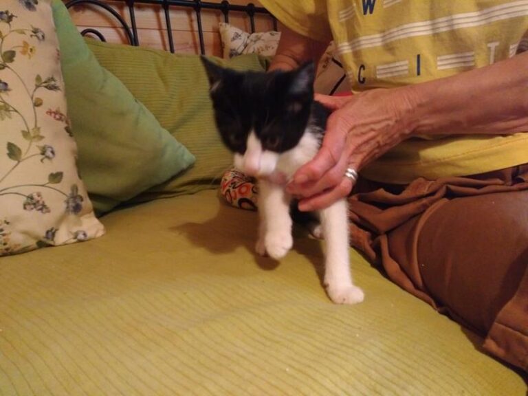 multimedia-foto57909-179-1