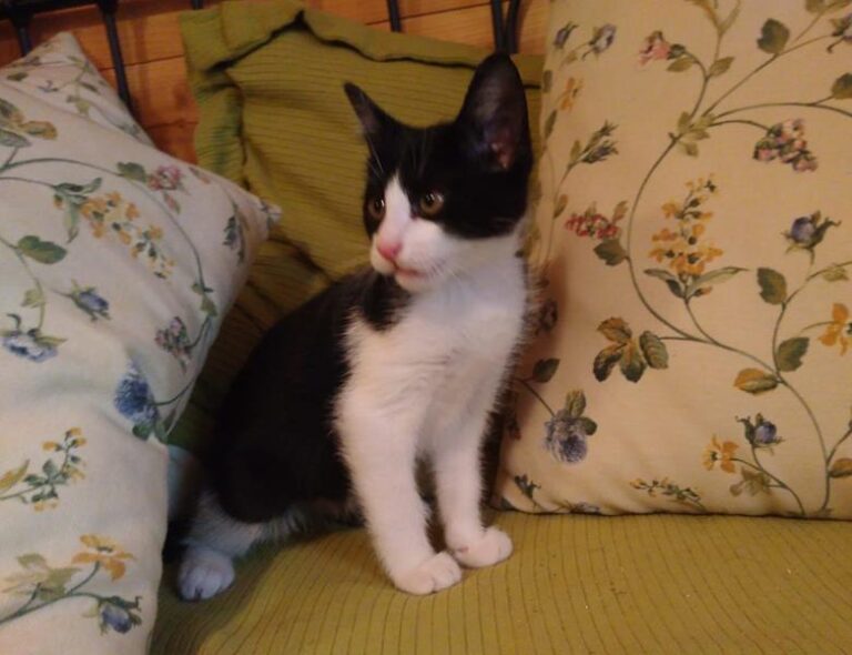 multimedia-foto57910-179-1