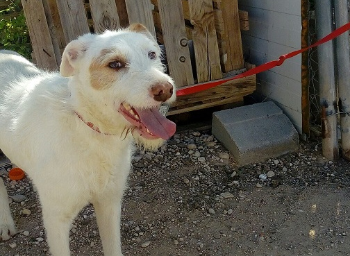 multimedia-foto57912-878-1