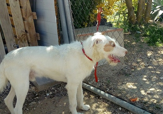 multimedia-foto57913-878-1