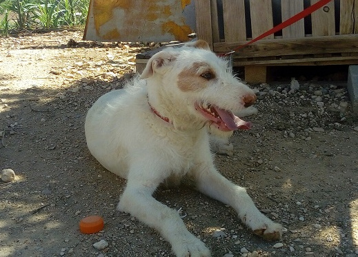 multimedia-foto57914-879-1