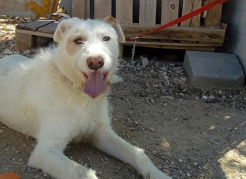 multimedia-foto57915-879-1