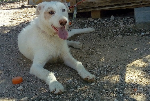 multimedia-foto57916-879-1