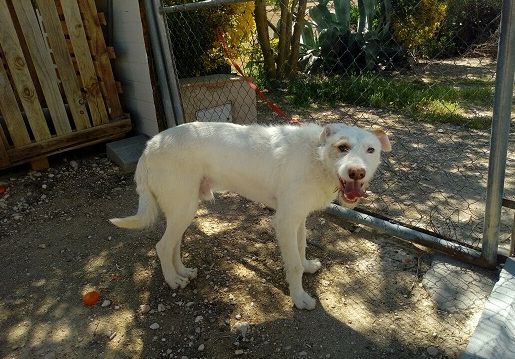 multimedia-foto57917-879-1