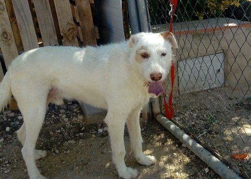 multimedia-foto57918-879-1