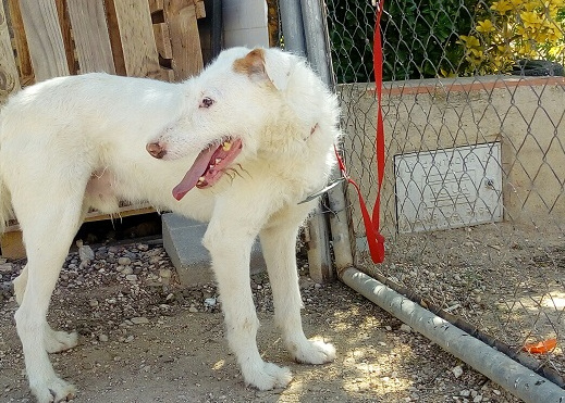 multimedia-foto57919-879-1