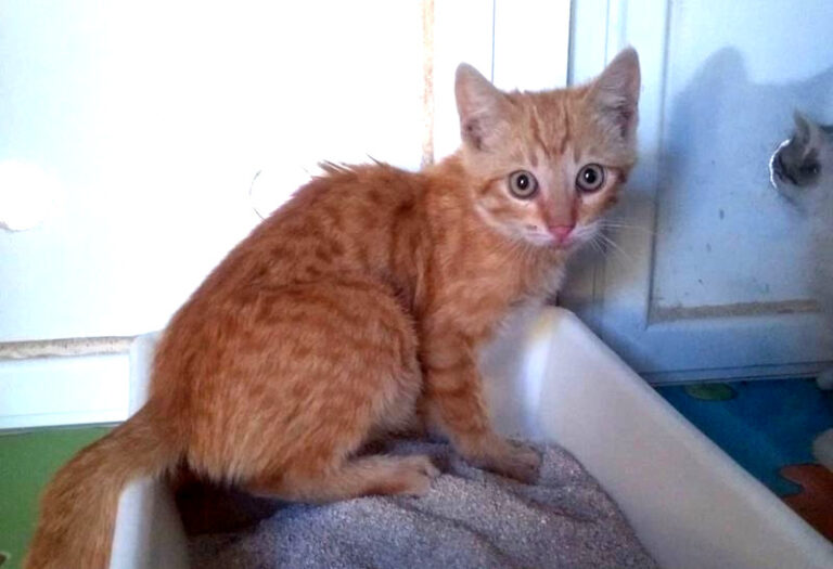 multimedia-foto57942-752-1